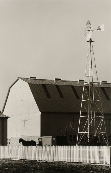 Amish Farmer, St. Mary’s County. - Image 2