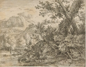 Landscape with Trees with Exposed Roots