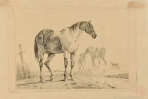 Two Horses, One in Background with Man and Dog