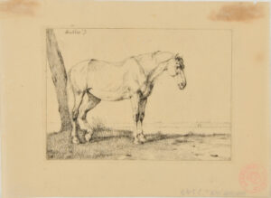 Horse Standing by a Tree