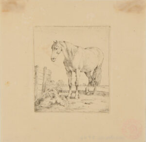 Horse Standing by Wooded Fence