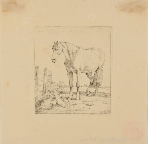 HORSE STANDING BY WOODED FENCE