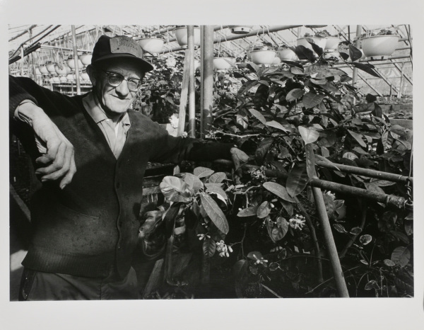 Walther Gardens, Baltimore. - Image 2