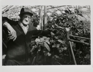 Walther Gardens, Baltimore.