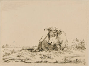 Ox Lying Down, Turned to Left