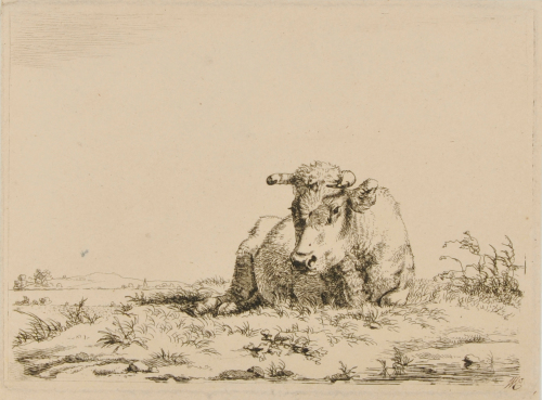 OX LYING DOWN, TURNED TO LEFT