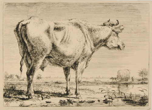 LANDSCAPE WITH COW IN FOREGROUND