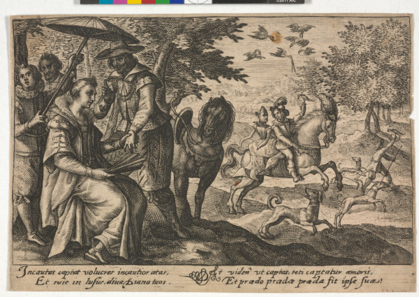 Incautus captat volucres