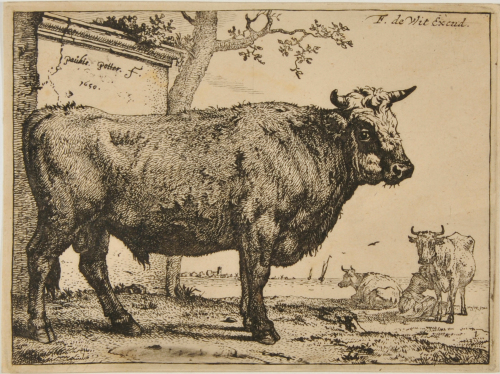 Bull