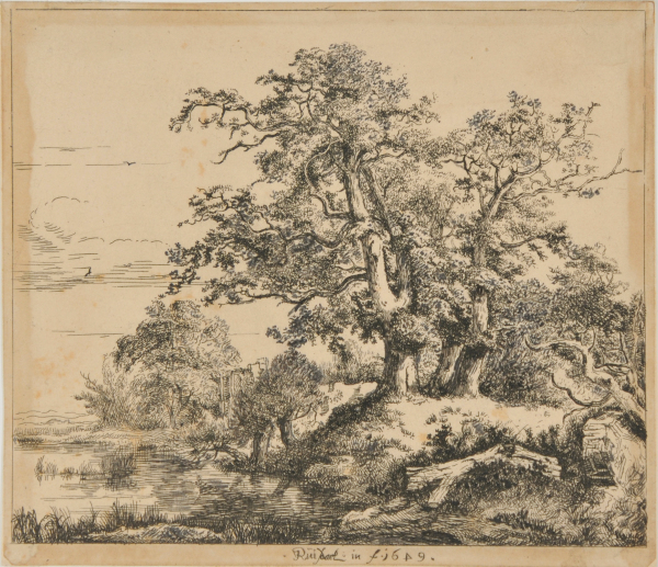 The Group of Three Oaks