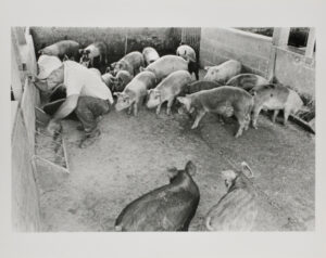 Jim Agnew, Wicomico.