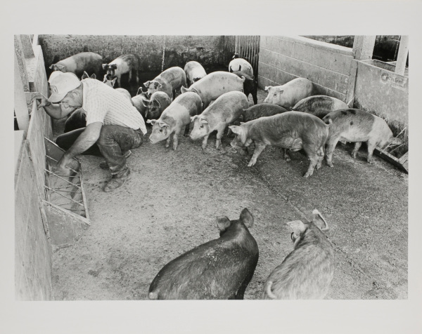 Jim Agnew, Wicomico. - Image 4