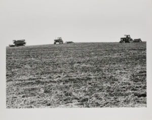 Combining Soybeans, Charles County.