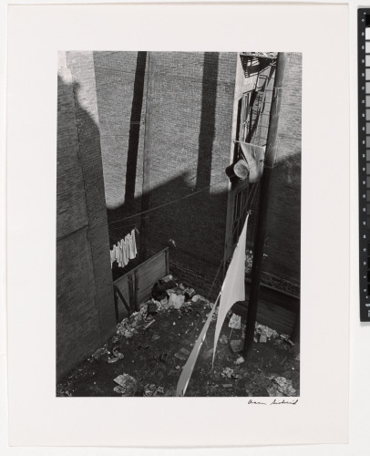 Harlem, 1940, Backyard - Image 3