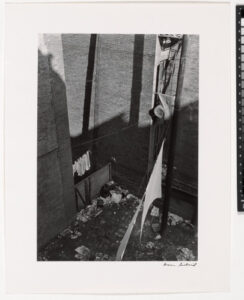 Harlem, 1940, Backyard