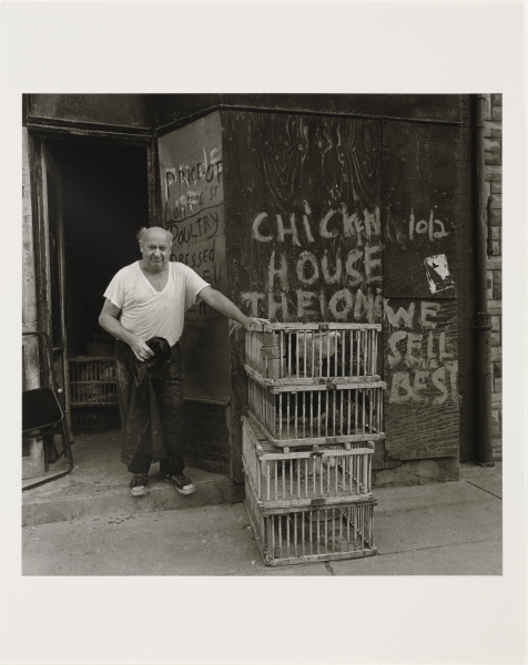 Chicken Man - Image 1