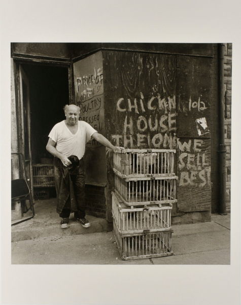 Chicken Man - Image 2