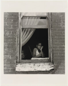 Tyrone in Window, Collington Avenue