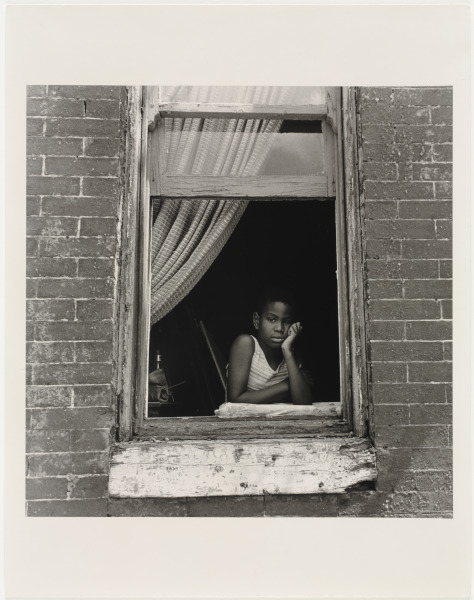 Tyrone in Window, Collington Avenue - Image 1