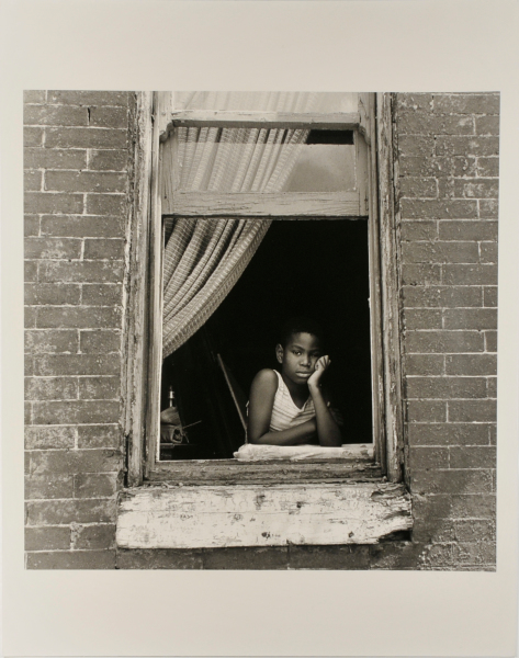Tyrone in Window, Collington Avenue - Image 2
