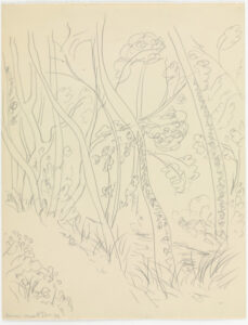 Path Through Trees (study for Mallarmé?)