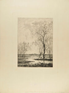 Apres l’hiver (bords de la Meuse)