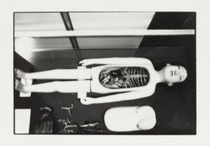 Wooden Anatomical Model