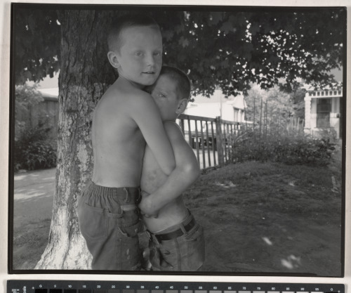 Chestnut Street, Louisville - Image 4