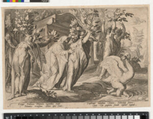 Phaeton’s Sister Changed into Poplars and Cygnus into a Swan