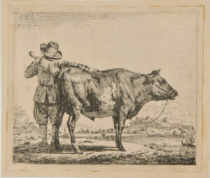 The Cowherd and the Steer