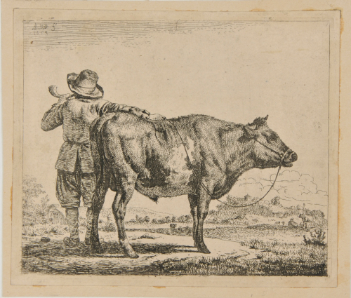 The Cowherd and the Steer
