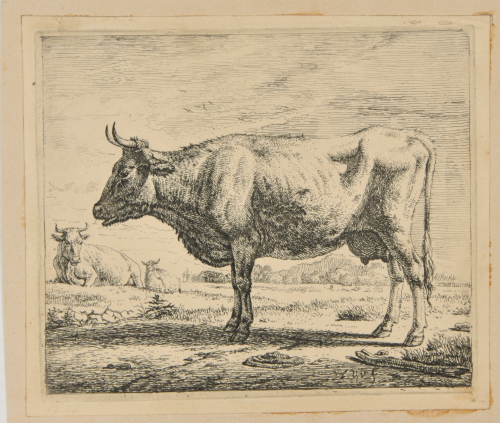 The Two Cows and the Sheep