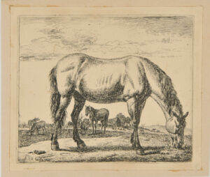 The Horse
