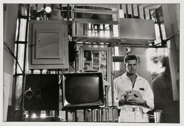 Seven years flat on a twenty-year sentence, The Walls - Image 2