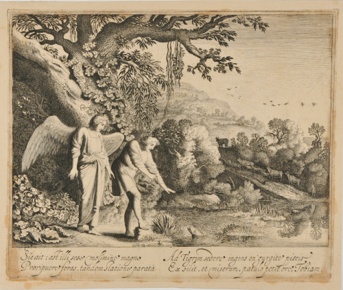 Sie ait…patulo petit oro tobiam