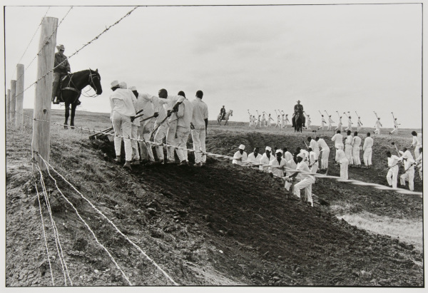 The line, Ferguson - Image 2