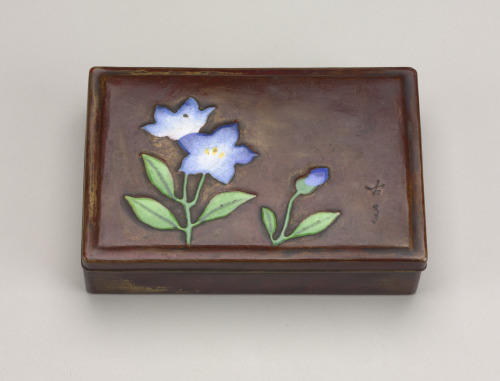 Box Decorated with Balloon Flowers (Kikyo)