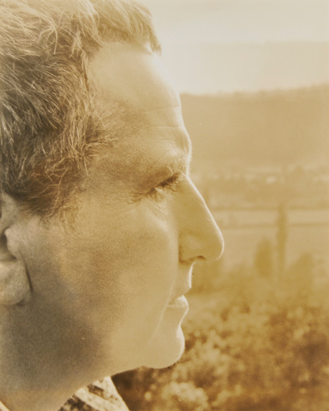 Gertrude Stein - Image 4