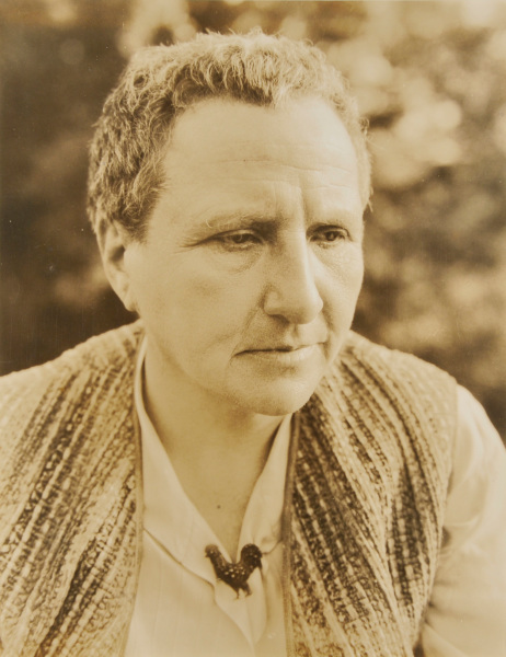 Gertrude Stein - Image 3