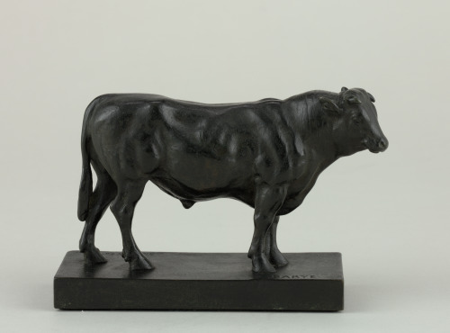 Little Bull - Image 3