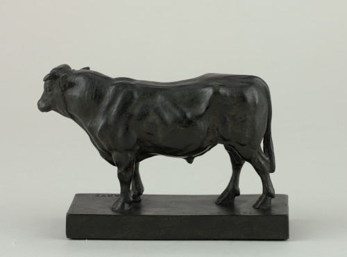 Little Bull - Image 2