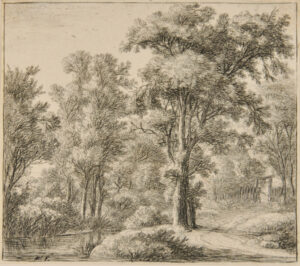 Entrance to the Forest by a Wooden Fence