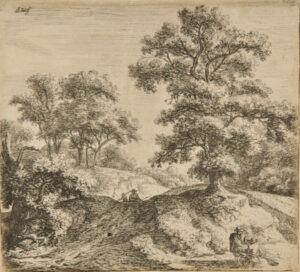 Large Oak Along a Path