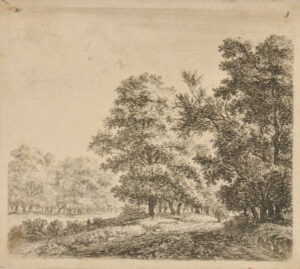 The Two Alleys of Trees