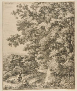 A Dog Drinking from a Stream