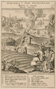 Dominica V post epiphanian parabola de zizanijs