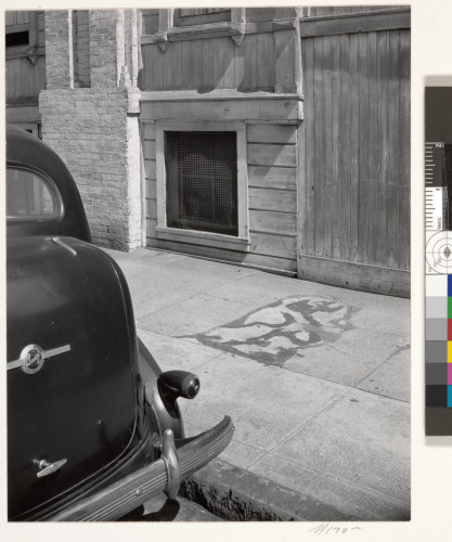 “Something Died Here,” San Francisco - Image 2