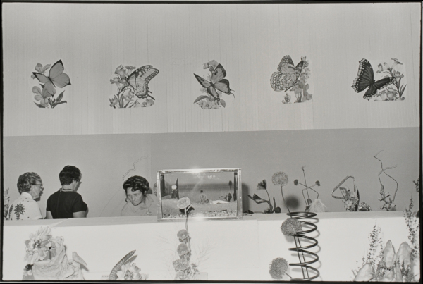 Salt Lake City - Image 4