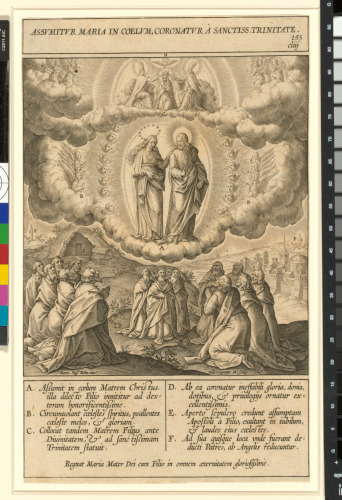 Assumitur Maria in coelum coronatur a sanctiss trinitate - Image 1