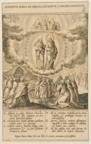 Assumitur Maria in coelum coronatur a sanctiss trinitate - Image 2